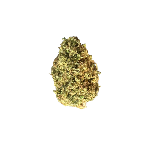 White Truffle - Ugly Bud THCA Flower